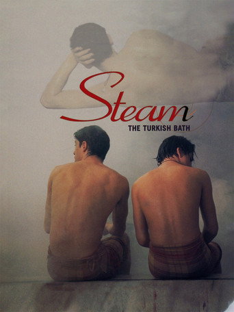 Steam: The Turkish Bath (1997) movie poster
