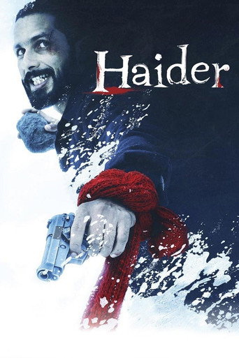 Haider (2014) movie poster