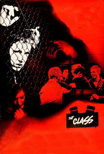 The Class (2007) movie poster