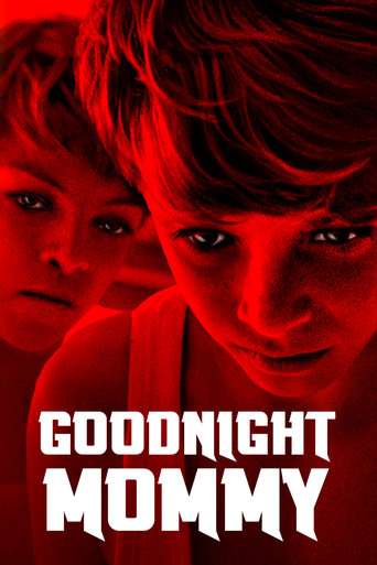 Goodnight Mommy (2015) movie poster