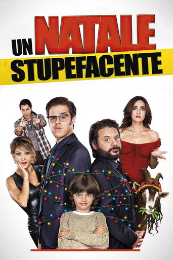 Un Natale stupefacente (2014) movie poster
