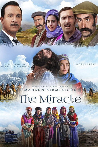 The Miracle (2015) movie poster