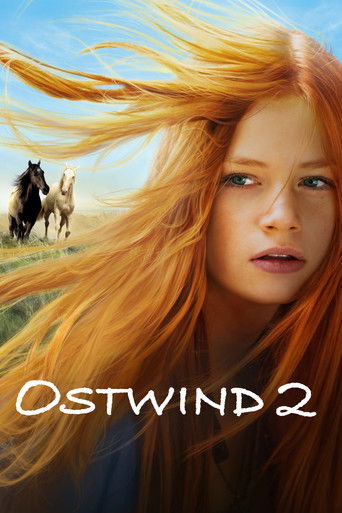 Windstorm 2 (2015) movie poster