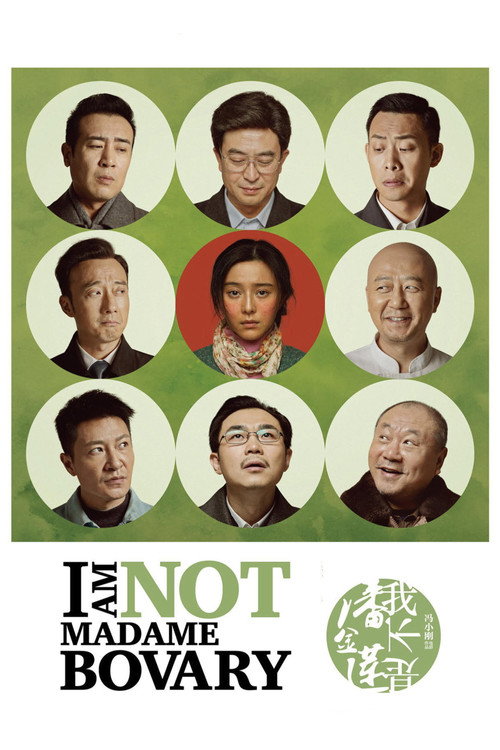 I Am Not Madame Bovary (2016) movie poster