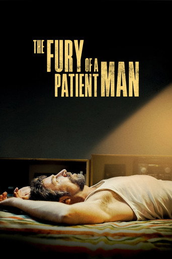 The Fury of a Patient Man (2016) movie poster