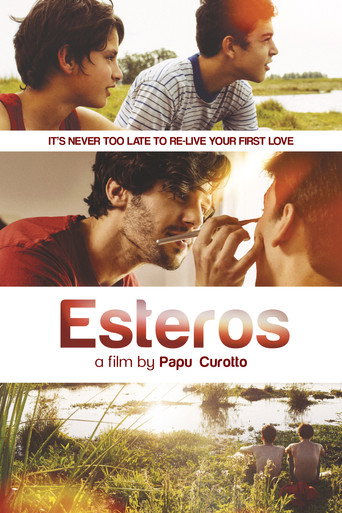 Esteros (2016) movie poster