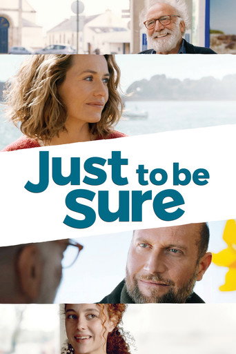 Just to Be Sure (2017) movie poster