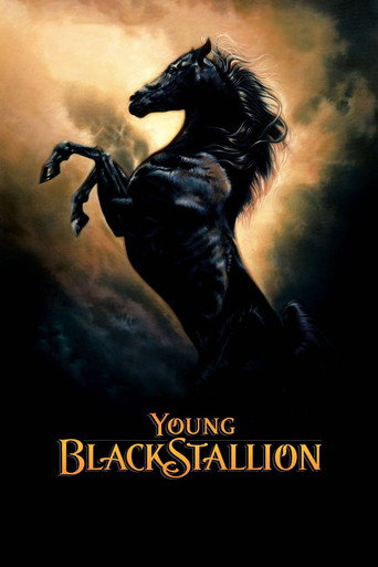 Young Black Stallion (2003) movie poster