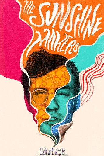 The Sunshine Makers (2015) movie poster