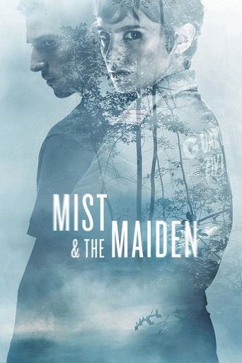Mist & the Maiden (2017) movie poster