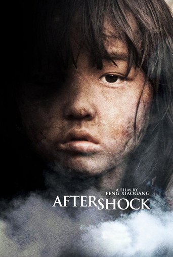Aftershock (2010) movie poster