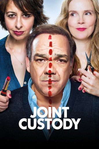 Joint Custody (2017) movie poster