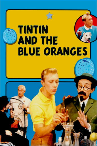 Tintin and the Blue Oranges (1964) movie poster
