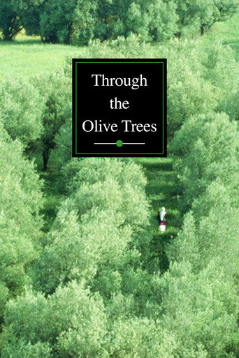 Through the Olive Trees (1995) movie poster