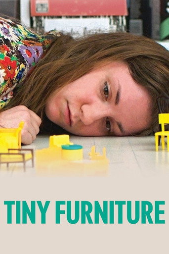 Tiny Furniture (2010) movie poster