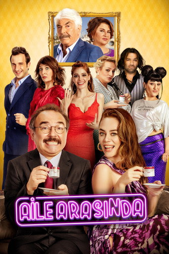 In the Family (2017) movie poster