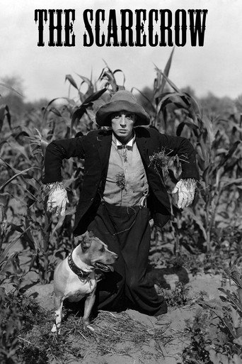 The Scarecrow (1920) movie poster