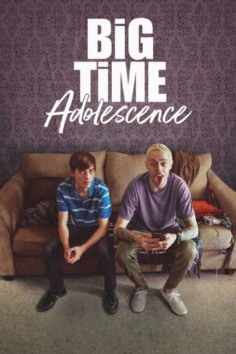 Big Time Adolescence (2020) movie poster