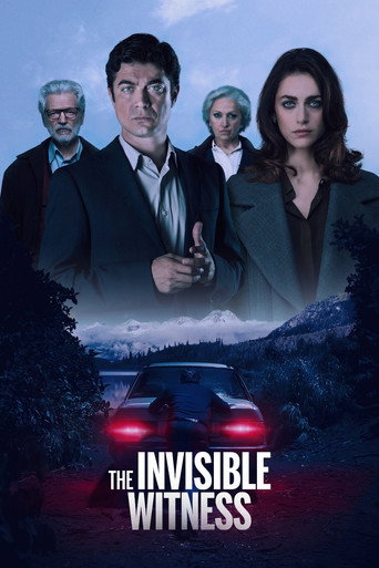 The Invisible Witness (2018) movie poster