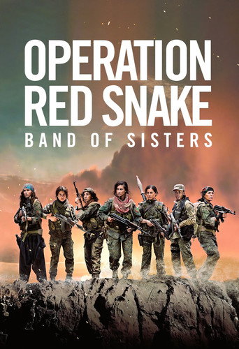 Sisters in Arms (2019) movie poster