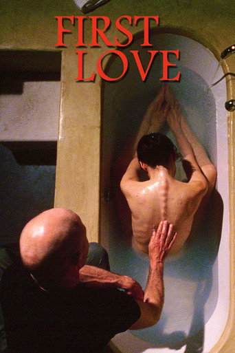 First Love (2004) movie poster