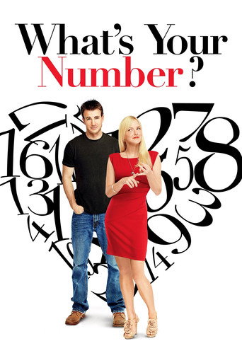 What's Your Number? (2011) movie poster
