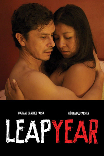 Leap Year (2010) movie poster