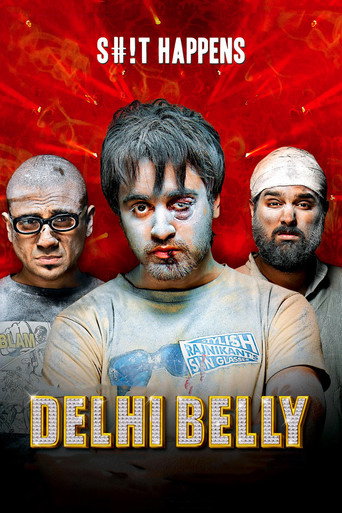 Delhi Belly (2011) movie poster