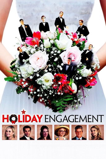Holiday Engagement (2011) movie poster