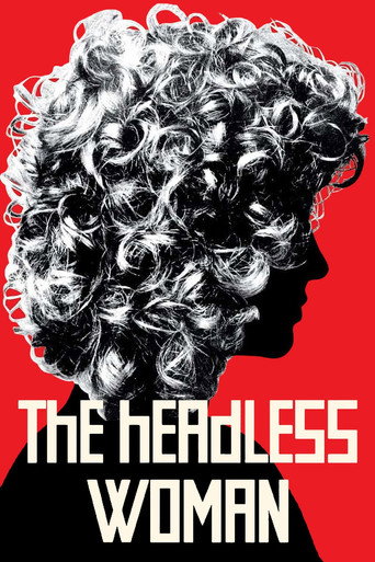 The Headless Woman (2008) movie poster