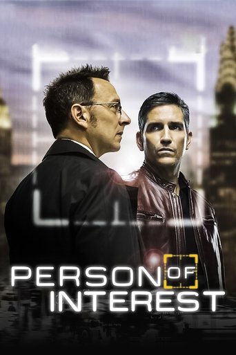 Person of Interest (2011) TV series poster