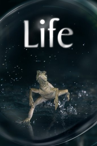 Life (2009) TV series poster