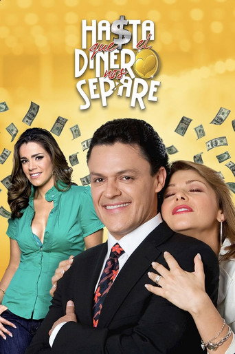 Hasta que el dinero nos separe (2009) TV series poster