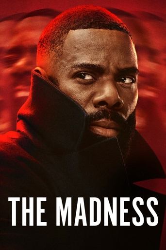 The Madness (2024) TV series poster