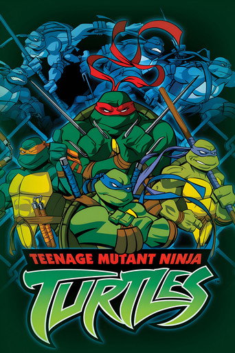Teenage Mutant Ninja Turtles (2003) TV series poster