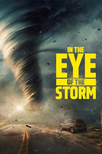 In the Eye of the Storm (2024) TV series poster