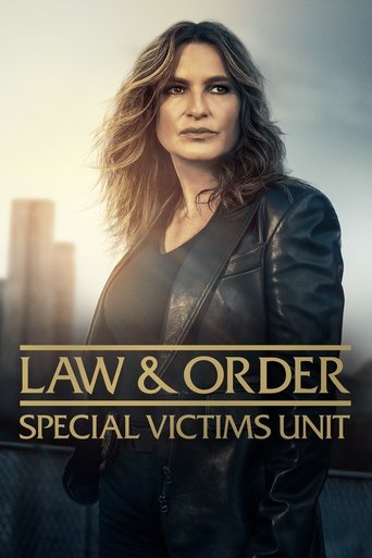 Law & Order: Special Victims Unit (1999) TV series poster