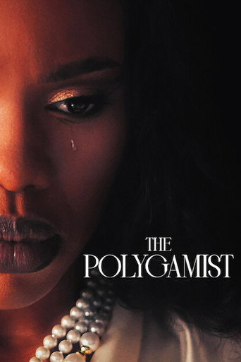 The Polygamist (2026) TV series poster