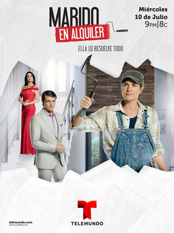 Husband for Rent aka Husband for Hire (2013) TV series poster