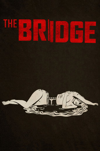 The Bridge (2013) TV series poster
