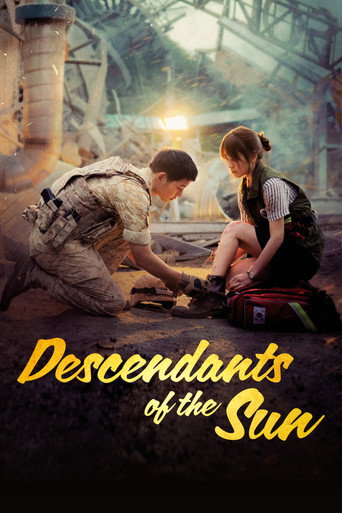 Descendants of the Sun (2016) TV series poster