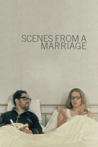 Scenes from a Marriage (1973) TV series poster
