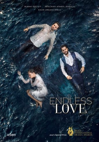 Kara Sevda (2015) TV series poster