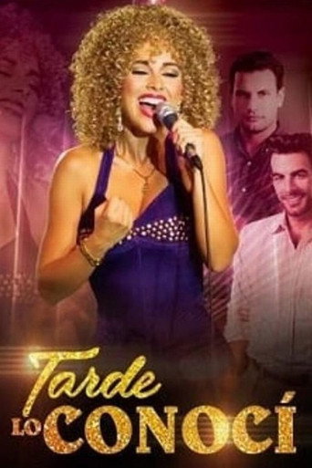 Tarde lo conocí (2017) TV series poster